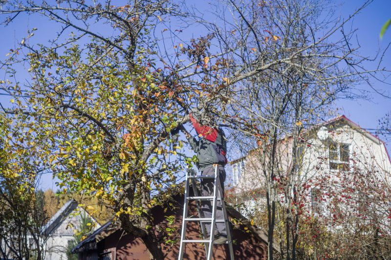 Commercial Tree Service detail