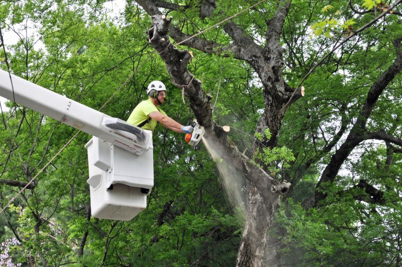Tree Health Preservation